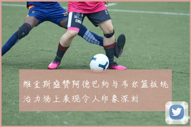 维金斯盛赞阿德巴约与韦尔篮板统治力场上表现令人印象深刻