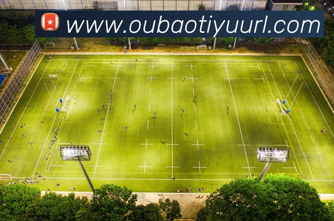 关于2017年历史问题处罚的公告及其影响分析与后续措施探讨