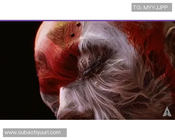 奥斯卡回忆海港报价超出预期导致我失眠数日的心路历程 奥斯卡回忆海港报价超出预期导致我失眠数日的心路历程